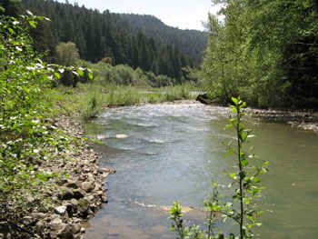 Looking downstream from the Grizzly Creek monitoring site. Note the main stem Van Duzen River in the distance. Photo by P. Trichilo.