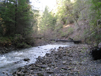 Looking upstream from Grizzly Creek monitoring site. Photo by P. Trichilo.