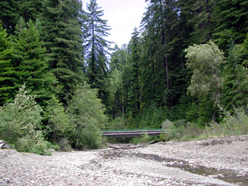 Looking upstream at Grizzly Creek from the Van Duzen River during the summer. Note the amount of bed load and that most of the stream has dried up or goes underground at this point. Photo by P. Higgins.
