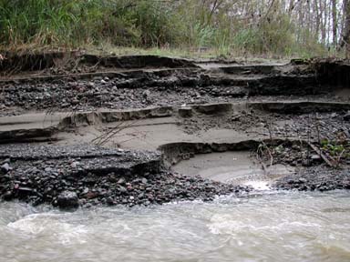 creek edge showing tiers of sediment deposition and gravel
