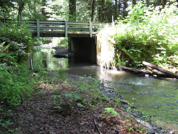 Cummings Creek bridge at the Lower Cummings Creek monitoring site. Note the staff plate on the left. Photo by P. Trichilo.