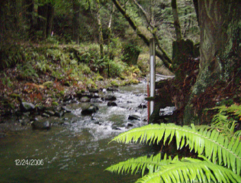 Looking upstream at the Upper Cummings Creek monitoring site. Note staff plate in center right of picture. Photo by K. Bromley.