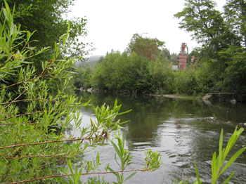 Yager Creek during the summer months