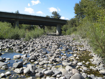 Looking downstream at Yager Creek during the summer. 