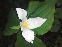 Poetry ;in Motion - Slideshow 1