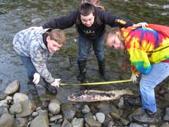 Young Scientists - Slideshow 4